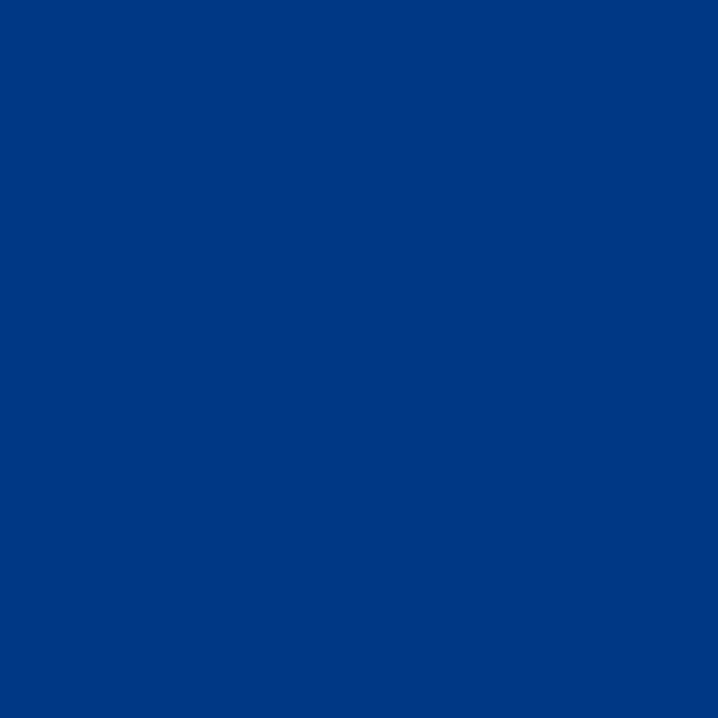 520 ULTRAMARINE BLUE - RAL 5002 L00